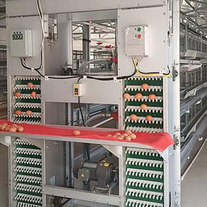 Nuovo Modello Popolare Sistema di Raccolta Uova Completamente Automatico per Gabbie a Telaio, Attrezzatura per Allevamento con Zincatura a Caldo Precisa - Product Image 1