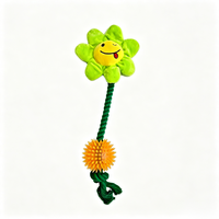 Jouet à mâcher en corde TPR pour chien, balle à picots, jouet interactif pour nettoyer les dents, pour chiens de petite/moyenne taille, intérieur/extérieur