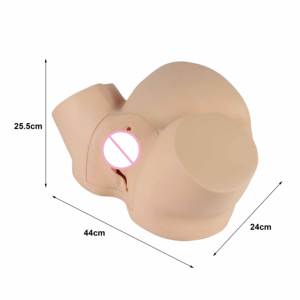 Modèle anatomique humain en PVC pour la formation scientifique médicale avancée, simulateur d'accouchement en cas de dystocie, mannequin de sage-femme, école de médecine - Product Image 5