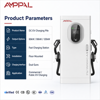 AMPPAL Nouvelle Énergie 60KW 90KW 120KW 160KW 180KW 240KW Station de Recharge DC Double Pistolet pour Véhicules Électriques, Usage Domestique et Commercial