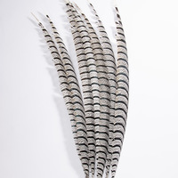 Plumes de faisan zèbre pour femme de 35 à 40 pouces, accessoires de danse pour costumes de carnaval, décoration de festival, Carnaval de Brésil
