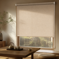 Stores à enroulement modernes et unis en tissu personnalisé avec cordon de tirage manuel, protection UV et filtration de la lumière pour chambre et cuisine