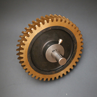 Engrenage à vis sans fin en bronze étamé pour batteuse de maïs doux, grand modèle avec arbre, pour boîte de vitesses de machines agricoles, garantie 1 an, 2 kg, origine Chine