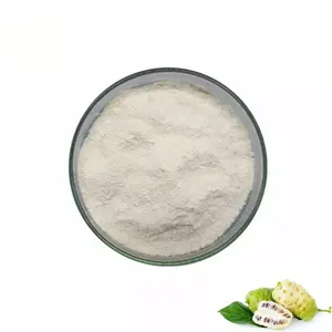 Factory Supply Noni Fruit Concentrate Powder Wholesale Noni Fruit Juice Extract Powder