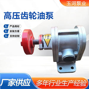 Bomba Hidráulica Autocebante de Alta Viscosidad, Bomba de Engranajes de Acero Inoxidable de Alta Presión para Aceite, Bomba de Engranajes Autocebante para Aceite de Alta Viscosidad - Product Image 3