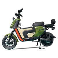Trotinettes électriques rapides en stock dans l'UE, vélos électriques 72V, vélos électriques haute performance pour adultes