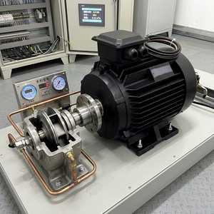 Moteur à aimant avec option d'arbre en acier inoxydable, IP55, puissance personnalisée de 0,75 kW à 315 kW - Product Image 5