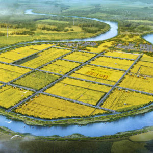 Aménagement paysager professionnel pour le développement communautaire durable - Product Image 1