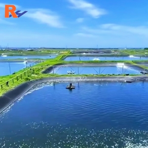 Геомембрана из ПНД для прудов с толщиной 0,5 мм, 0,75 мм, 1 мм – водонепроницаемый лист, экономичный и экологичный - Product Image 1