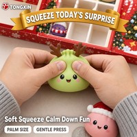 Calendrier de l'Avent Squishy de Noël 24 Jours TONGXIN – Boîte Mystère Squishy en Forme de Dumpling pour Compte à Rebours – Cadeau Idéal pour le Stocking Stuffer – Lot en Gros