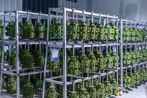 LISHUI DN50 <span class=keywords><strong>2</strong></span> pouces NPT Régulateur <span class=keywords><strong>de</strong></span> <span class=keywords><strong>pression</strong></span> d'eau réglable Réducteur avec manomètre Régulateur <span class=keywords><strong>de</strong></span> <span class=keywords><strong>pression</strong></span> Valve - Product Image 6