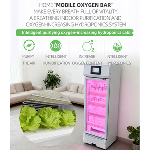 बुद्धिमान घरेलू वनस्पति रोपण हाइड्रोपोनिक्स उद्यान प्रणाली-ऊर्ध्वाधर हाइड्रोपोनिक्स कैबिनेट संयंत्र कैबिनेट विकसित करते हैं - Product Image 3