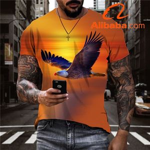 Camiseta en 3D para hombres, camisa con estampado de águila Soaring, divertida, informal, bonita, de Anime, con llama, venta al por mayor - Product Image 3