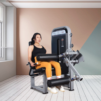 DZ1951 DGZ Appareil de musculation à charges guidées, machine combinée double fonction assise pour extension et flexion des jambes