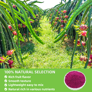 Натуральный лиофилизированный пищевой порошок - Product Image 6