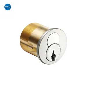 America Style Mortise Lock Small Format SFIC 6 Pin Interchangeable Core Cam Rim Door Cylinder