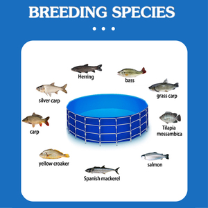 WOLZEN Tilapia Catfish Shrimp Aquakultur system mit Plane Fischteich Ras System <span class=keywords><strong>Aquarium</strong></span> Fischzucht - Product Image 4