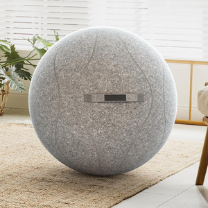 Housse <span class=keywords><strong>de</strong></span> protection pour <span class=keywords><strong>ballon</strong></span> <span class=keywords><strong>de</strong></span> yoga et <span class=keywords><strong>de</strong></span> <span class=keywords><strong>gymnastique</strong></span>, diamètre <span class=keywords><strong>65</strong></span> <span class=keywords><strong>cm</strong></span>, pour <span class=keywords><strong>ballon</strong></span> d'équilibre - Product Image 1