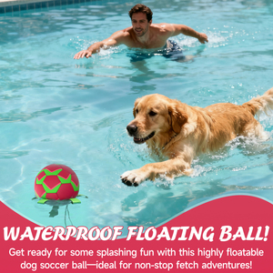 KINYU 2025 sıcak satış su geçirmez yüzer PU çevre dostu köpek topu katı desen havuz su oyun Adventures maceraları Pet futbol - Product Image 5