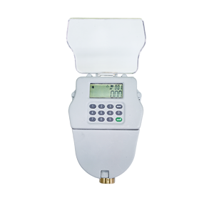 Medidor de Agua Multichorro ZHONGYI DN15/DN20 STS con Protección IP68, Conectividad Roscada, Caudal de 0.031-3.125 M/h - Product Image 4