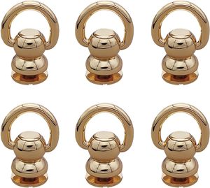 Juego de remaches de latón macizo con anillo en D y tornillo Chicago de rotación libre - Product Image 1