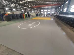 Thảm tập thể dục dụng cụ mềm <span class=keywords><strong>PVC</strong></span> tùy chỉnh, thảm tập võ thuật Jiu Jitsu, thảm tập thể dục nhào lộn, thảm tập thể dục dụng cụ, thảm tập thể dục dụng cụ khiêu vũ, thảm tập thể dục dụng cụ khi đổ, thảm tập thể dục dụng cụ khi nhào lộn - Product Image 2