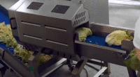 Hoogwaardige industriële voedselverwerkingsmachines voor fruit- en groenteverwerkingslijnen met 20kW motor en capaciteit van 1-1,5t/u