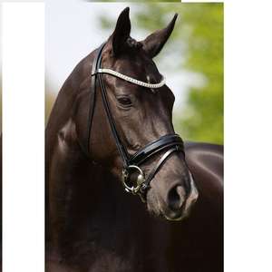 Bridon en cuir durable pour cheval, réglable, ajustement confortable, quincaillerie robuste, équipement d'équitation, plusieurs tailles - Product Image 3