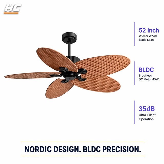 52" BJ0722-01 Black Modern Outdoor Ceiling Fan-Silent 35W BLDC Motor Reversible with 6-Speed Smart Remote for Living Room