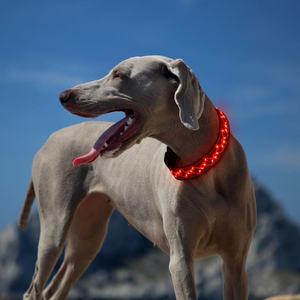 Fábrica personalizada 2023 nuevos accesorios para mascotas arnés logotipo personalizado ajustable en blanco liso Nylon mascota Led <span class=keywords><strong>Collar</strong></span> para perro - Product Image 3