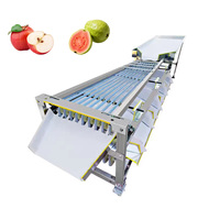 Jiayang Commerciële Sorteer- en Graderingsmachine voor Avocado's, Tomaten, Appels, Mango's, Meloenen, Aardappelen, en het sorteren op maat van fruit.