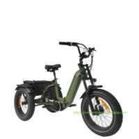 Triciclo eléctrico Oem personalizable con Motor Central de 500W, triciclo de carga con neumáticos gruesos, bicicleta eléctrica de 3 ruedas barata para adultos