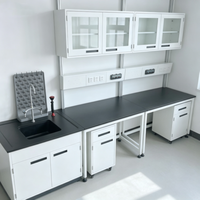 Table de laboratoire en acier laminé à froid avec structure en acier, durable, pour laboratoire clinique