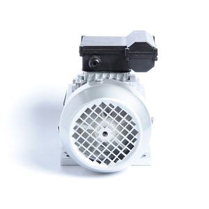 100% Copper Wire 220V 50Hz Single-Phase AC Motor 0.25kw Power with Cast <b>Iron</b> Housing and 3000rpm Speed - Product Image 3