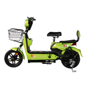 2 persone 350W moto E biciclette di ottima qualità Scooter bicicletta elettrica