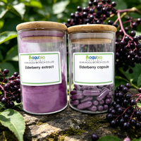100% Natuurlijk Zwarte Vlierbessenextract Poeder 5%~25% Anthocyanen Voedingskwaliteit Vlierbessenextract voor Immuunondersteuning