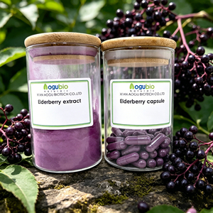 Poudre d'extrait d'églantier <span class=keywords><strong>noir</strong></span> 100 % naturel, 5 % à 25 % d'anthocyanes, qualité alimentaire, pour le soutien immunitaire - Product Image 1