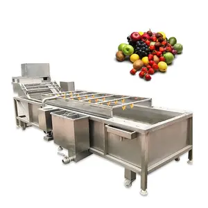 Commercial Industrial Vegetable Washer Fruit Avocado Mango Vegetable Potato Air Bubble Washing Machine with Ozone Generator