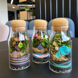 <span class=keywords><strong>Vase</strong></span> de terrarium en verre de 150ml Art déco moderne avec liège en bois et mousse Présentoir de table de Noël créatif - Product Image 2