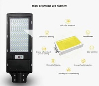Lámpara Solar LED de 100W/200W/300W, Iluminación Solar para Exteriores, IP65, Impermeable, a Prueba de Polvo y con Protección Contra Rayos