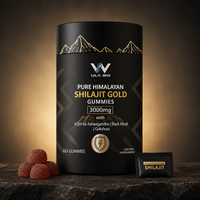 Gummies Hilajit Gold 60 unités, véganes, sans sucre ajouté, complément bien-être pour adultes, vente en gros, ODM