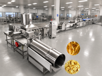 Productielijn voor bananenchips, machine voor het maken van plantainchips, apparatuur voor het frituren en snijden van bananen voor snackfabrieken