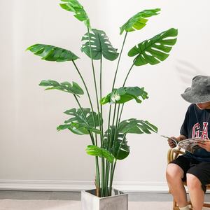 <span class=keywords><strong>Plante</strong></span> artificielle <span class=keywords><strong>monstera</strong></span>, fausse feuille de tortue <span class=keywords><strong>Monstera</strong></span> blanche et verte, arbres en plastique, <span class=keywords><strong>plante</strong></span> artificielle <span class=keywords><strong>Monstera</strong></span> panachée - Product Image 6