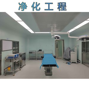 Cabine de salle blanche avec filtre HEPA à 95 % d'efficacité en acier inoxydable 304 pour applications de laboratoire - Product Image 5