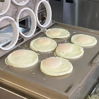 Machine à Omelettes Électrique Commerciale de Petite Taille, Nouveau Design, pour 6 Œufs, Cuisson et Façonnage, Machine à Œufs Cuits à la Vapeur Commerciale