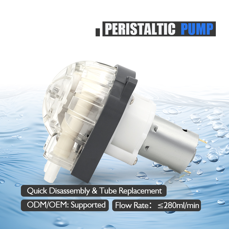 LEFOO OEM ODM High Quality 12v Metering Small Peristaltic Dosing Pump 24v Dc Motor for Beverage Machine Manufacturer · image 5