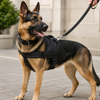 Harnais tactique personnalisé anti-traction pour chien, ensemble collier et laisse, en polyester durable, équipement de promenade en extérieur pour chiens de grande race