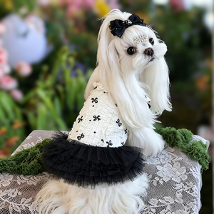 Robe de princesse pour chien miniature (Caniche, Bouledogue) respirante et élégante, <span class=keywords><strong>prix</strong></span> usine personnalisé, vente en gros, accessoires photo charmants pour animaux de compagnie - Product Image 1