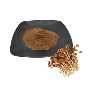Extrait d'agrocybe et <span class=keywords><strong>Aegerita</strong></span> pur 100%, supplément de santé - Product Image 1