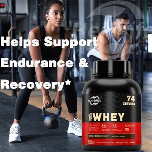 Proteína de Suero de Leche en Polvo - Fórmula para el Desarrollo Muscular con Aislado de Proteína de Suero y Péptidos - Venta al por Mayor - Personalizable - Product Image 3